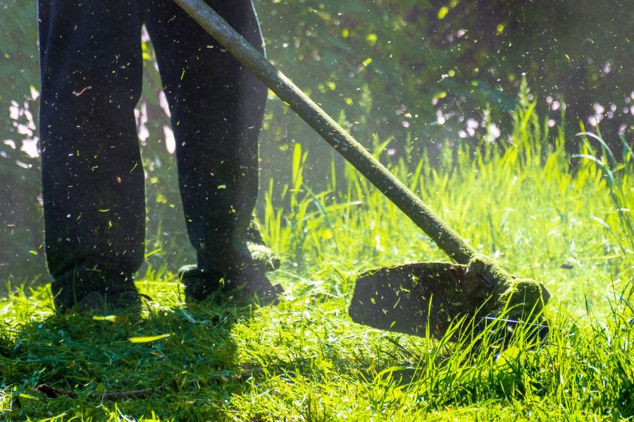 man trimming grass